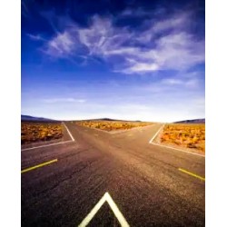 Seu dinheiro por Adriano Koehler  Os caminhos alternativos da prosperidade